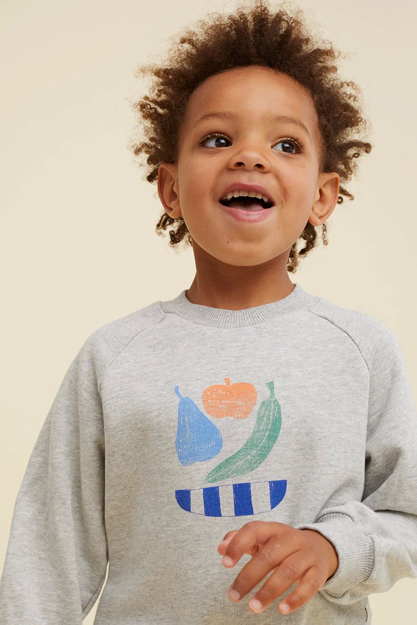 Freckle & Sprout Raglan Sweatshirt Fruit | Gray Melee