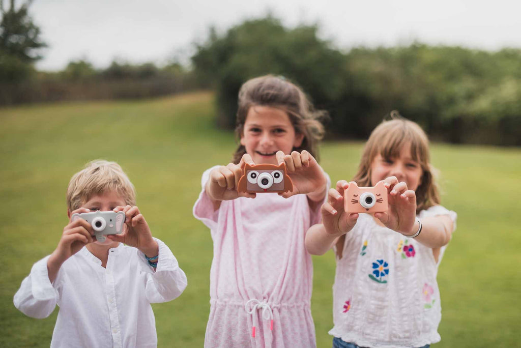 The Zoofamily Zoo friends | elephant