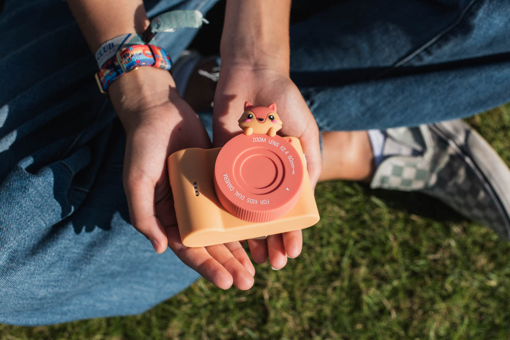 The Zoofamily Urban zoo | fox