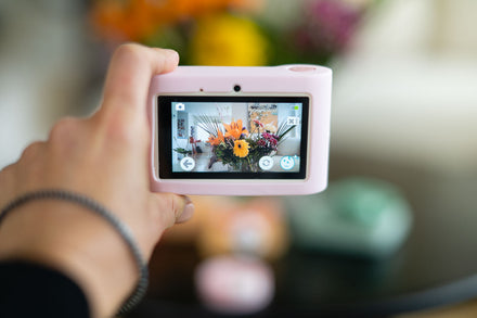 The Zoofamily Urban zoo | unicorn