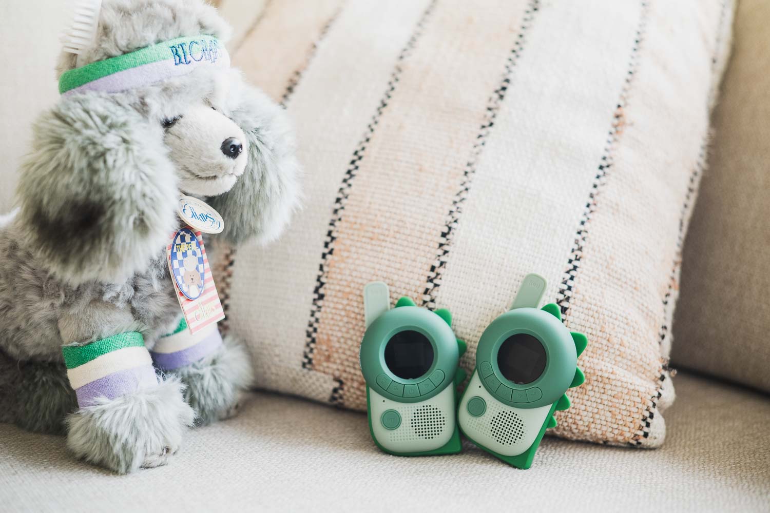 The Zoofamily Zoo walkie talkie | Dino Green