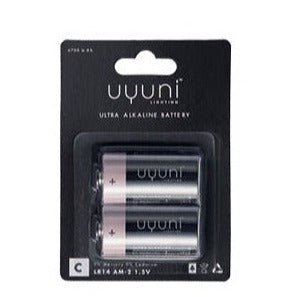 Uyuni 2 Pack battery for LED candle | Type C