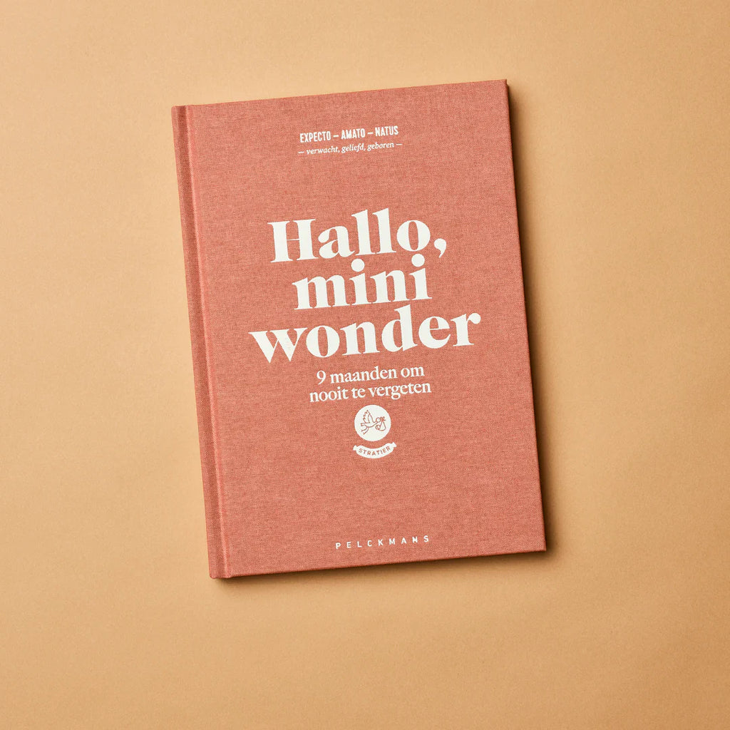 Stratier Fill-in Book | Hello Mini Wonder