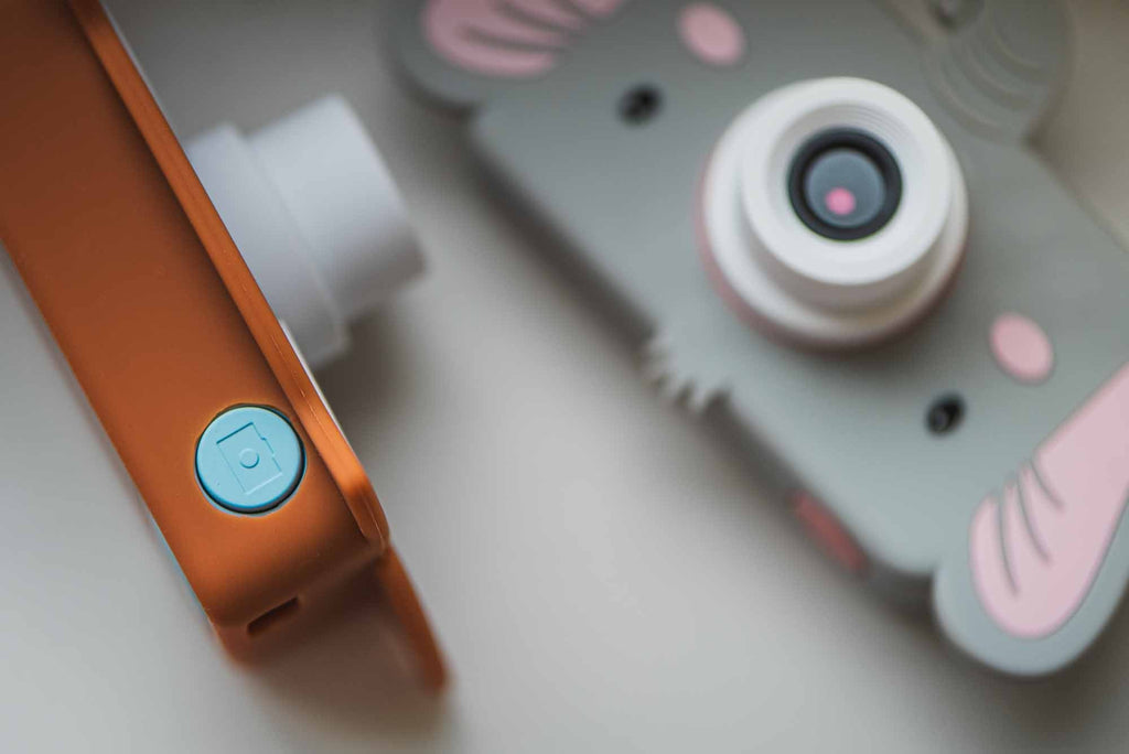 The Zoofamily Zoo friends | elephant