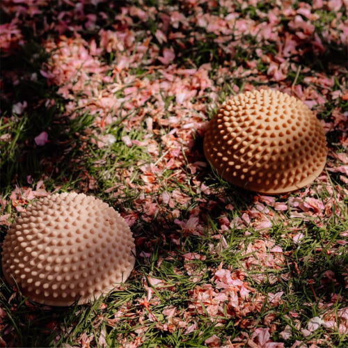 Find That Hippo Sensory Stones | Sunrise