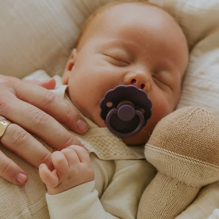 Frigg Daisy Latex Pacifier 0-6M | Violet