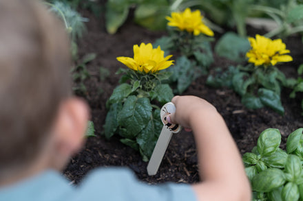 Little Dutch Garden Gift Set | Forest Friends
