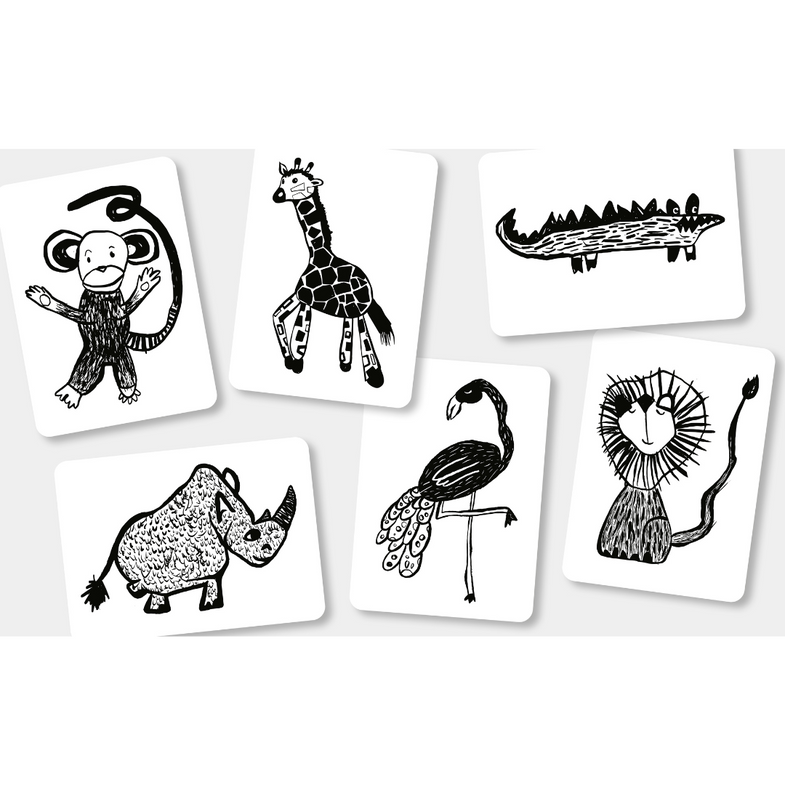Mini Coco Sensory Cards Baby Flash Cards | Safari