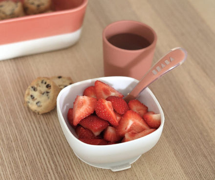 Beaba Silicone Dinner Set | Terracotta