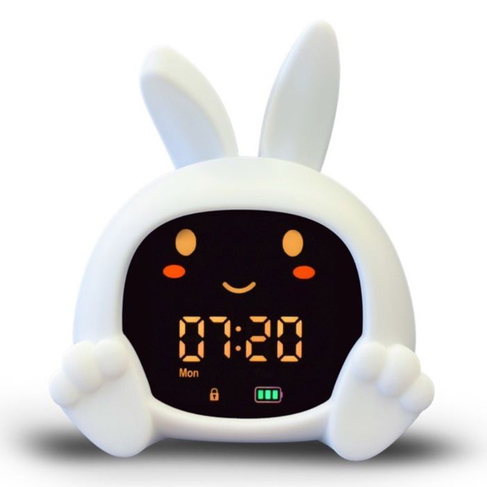 Zazu Sleep Trainer Sarah