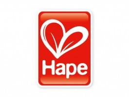 Hape Wooden Inlay Puzzle | Emergency