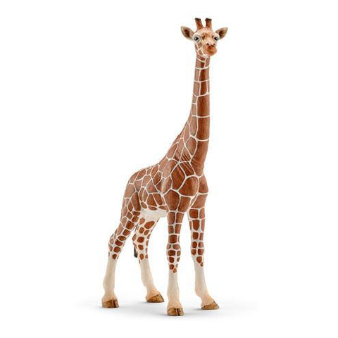 Schleich Animal | Giraffe female