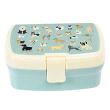 Handy lunch box with tray | Best in show