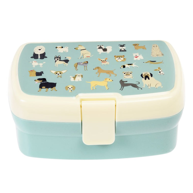 Handy lunch box with tray | Best in show