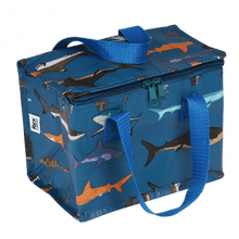 Thermal lunch bag | Shark