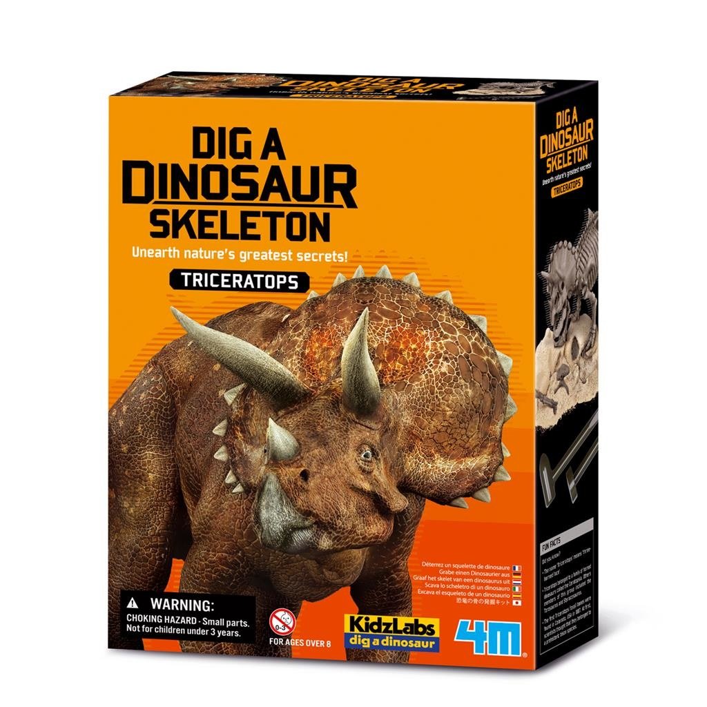 4m dig a dinosaur skeleton I triceratops