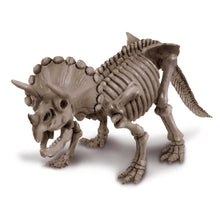 4m dig a dinosaur skeleton I triceratops