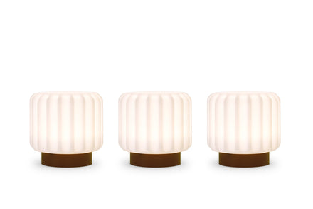 Atelier Pierre Dentelle Set of 3 | Terra