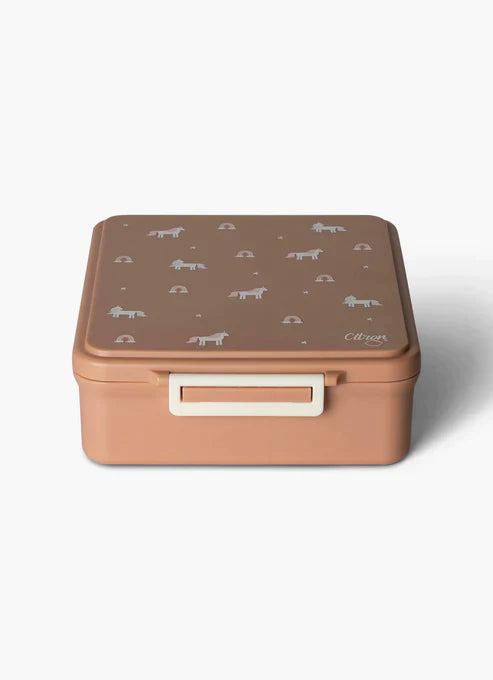 Citron lunch box with Thermal Food Jar | Blush Pink