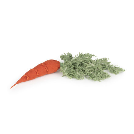 Oli & Carol Craft Set DIY | Cathy the Carrot