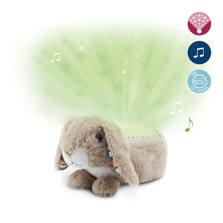 Zazu Ruby The Rabbit Sunset Projector