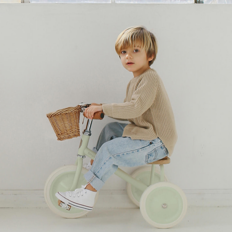 Banwood Trike tricycle With basket | Pale mint
