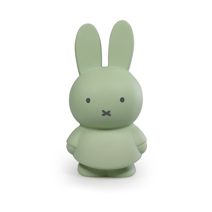 Atelier Pierre Miffy Money box Eucalyptus - Medium