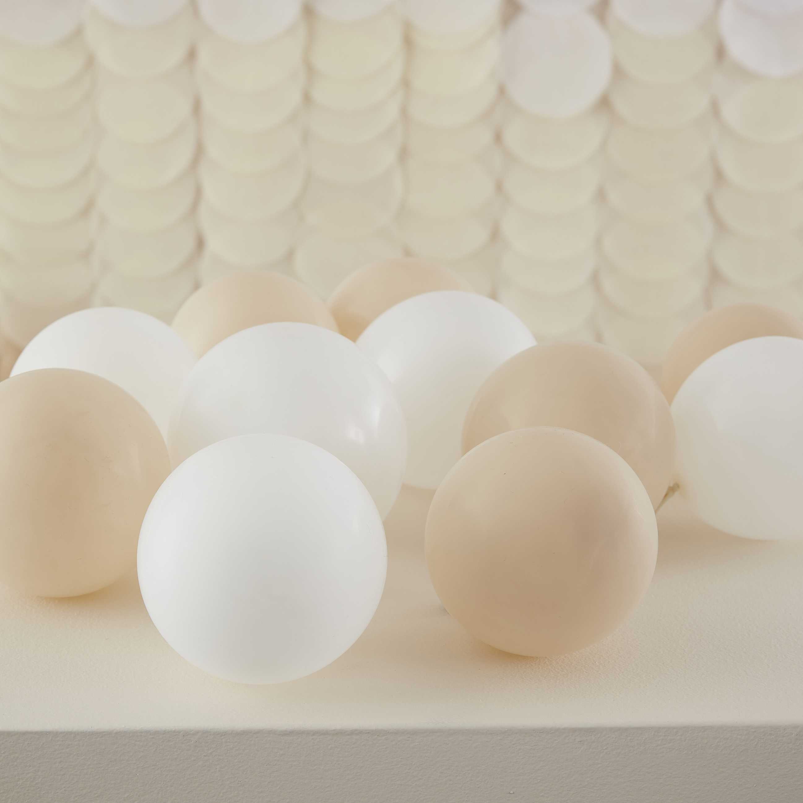 Ginger ray set 40 balloons ecological | Nude & White