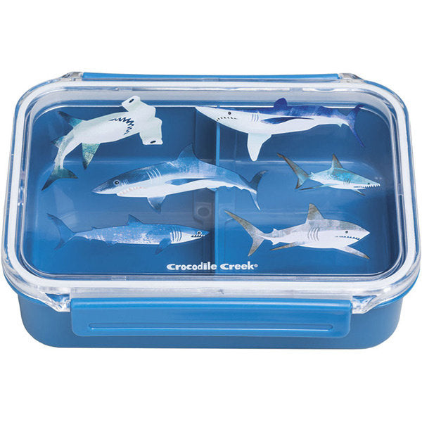 Crocodile Creek Bento Box | Camo Shark