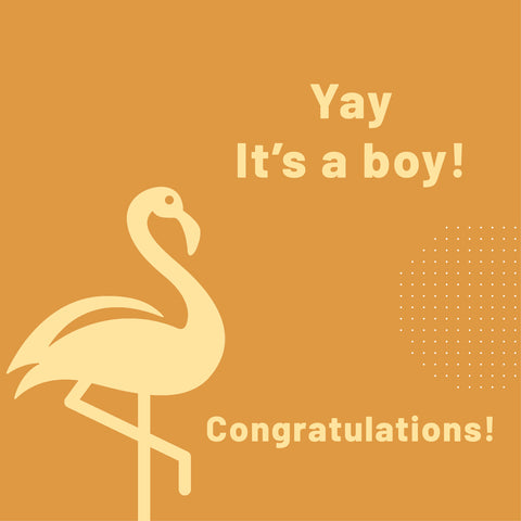 Online gift voucher - YAY! It is a boy!