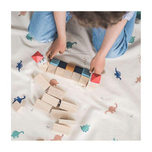 Play and go storage bag | Play mat dino